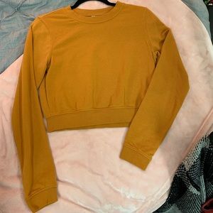 Yellow cropped sweater
